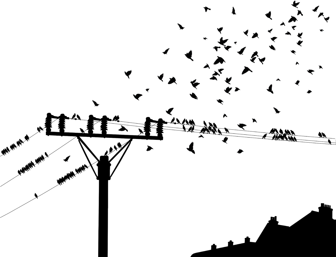 澳门正版资料大全资料贫无担石，科学依据解析MK939.929