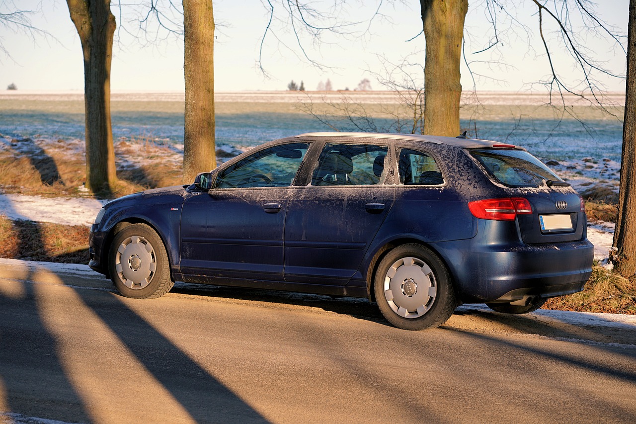 2024新澳门正版免费资料车，OY31.84.76系统评价与深度剖析