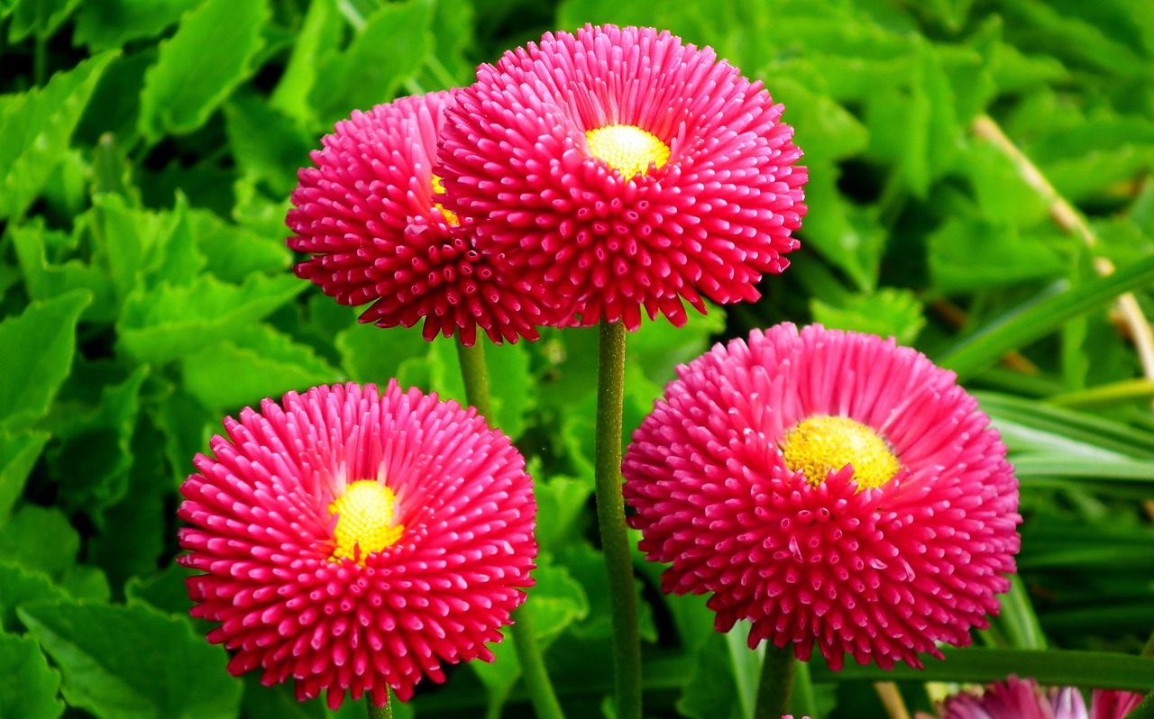 剪掉过去 第24页