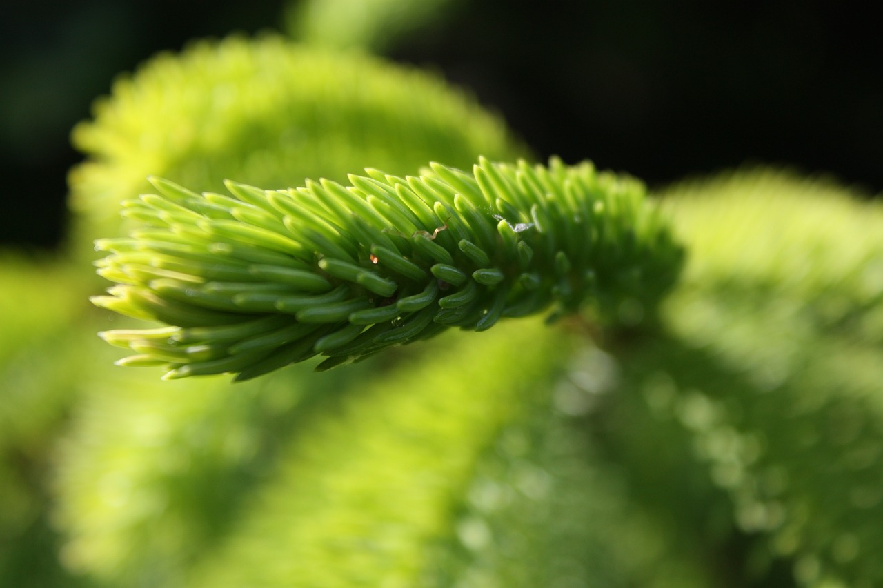 沃生生物股票行情深度解析，最新动态与市场趋势分析