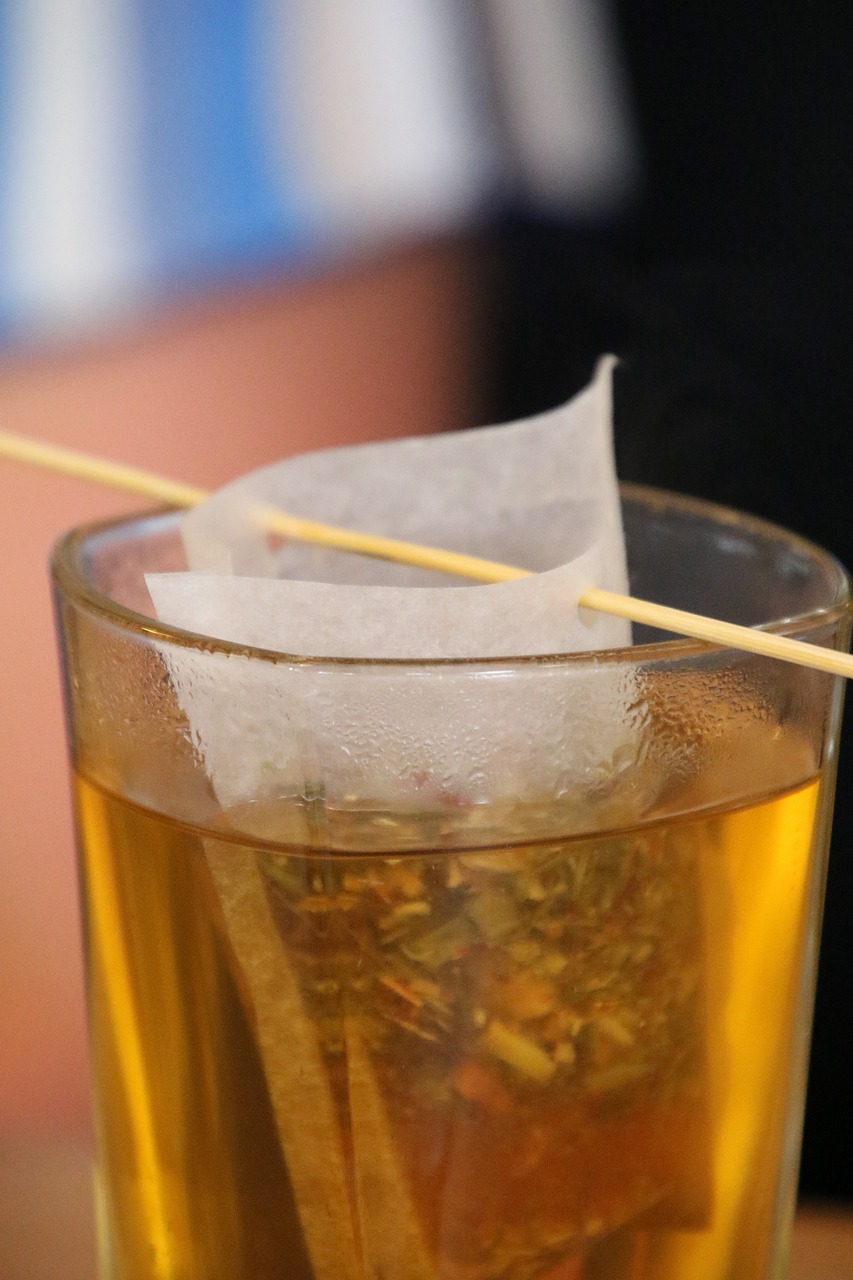 牛樟芝，功效、作用及价格详解