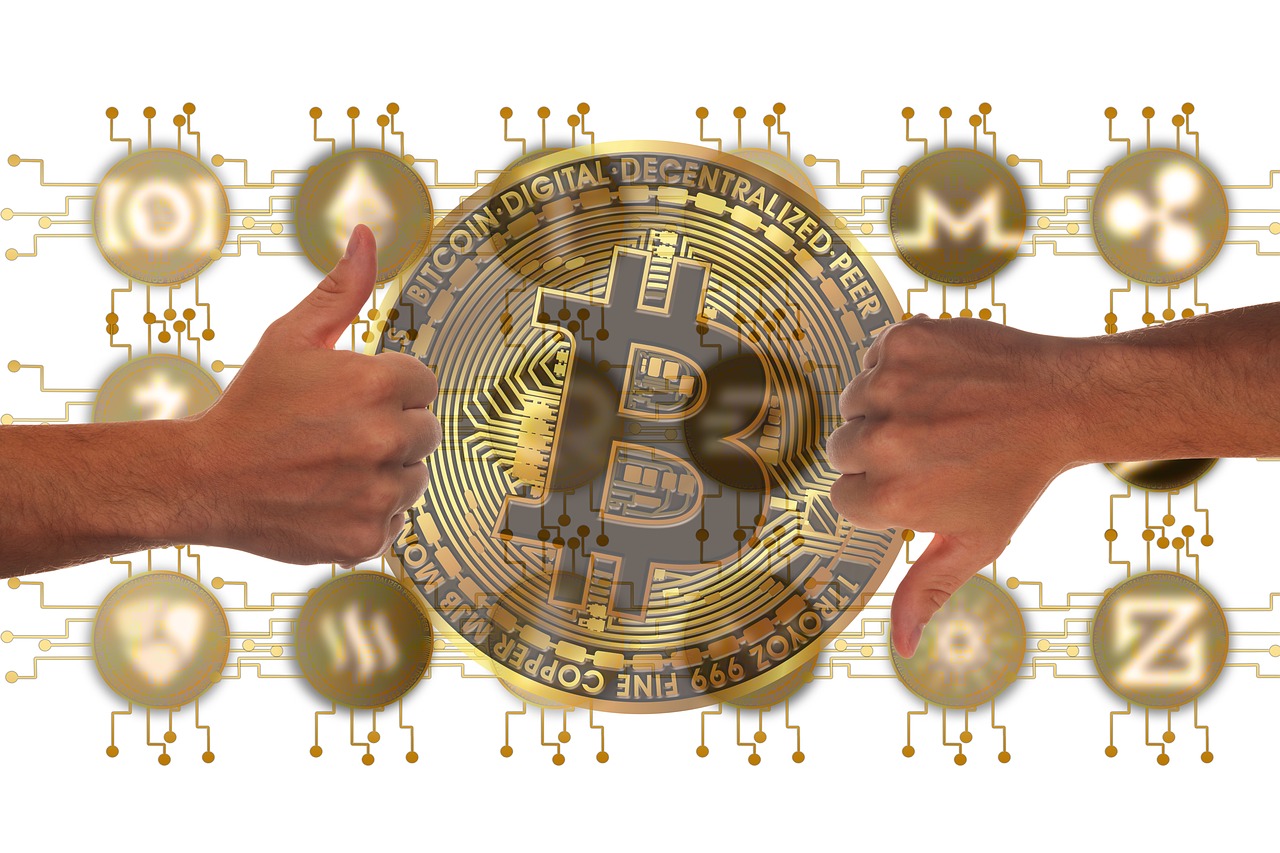 陕西玉米价格动态及分析简报