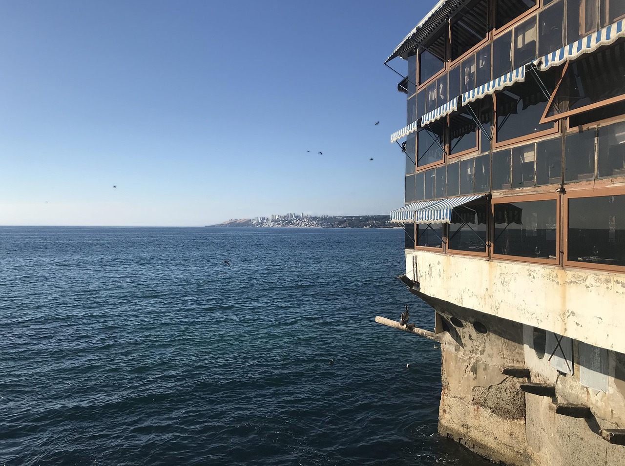 虹猫最新动态，新时代英雄之旅探寻记