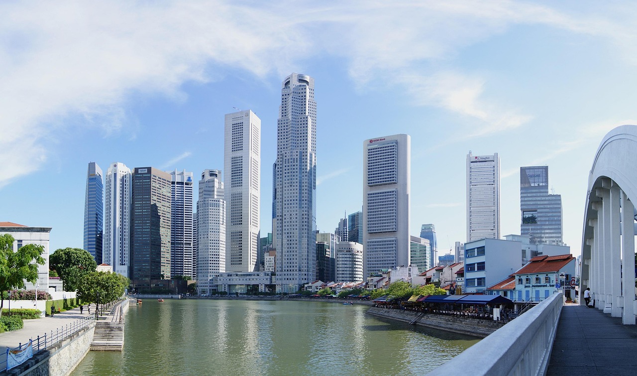河北滨海商品市场解读，商品资讯与发展趋势分析