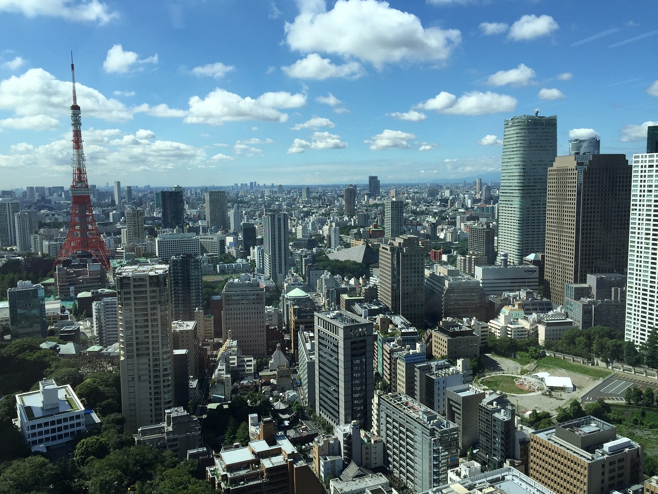 余生若梦 第7页
