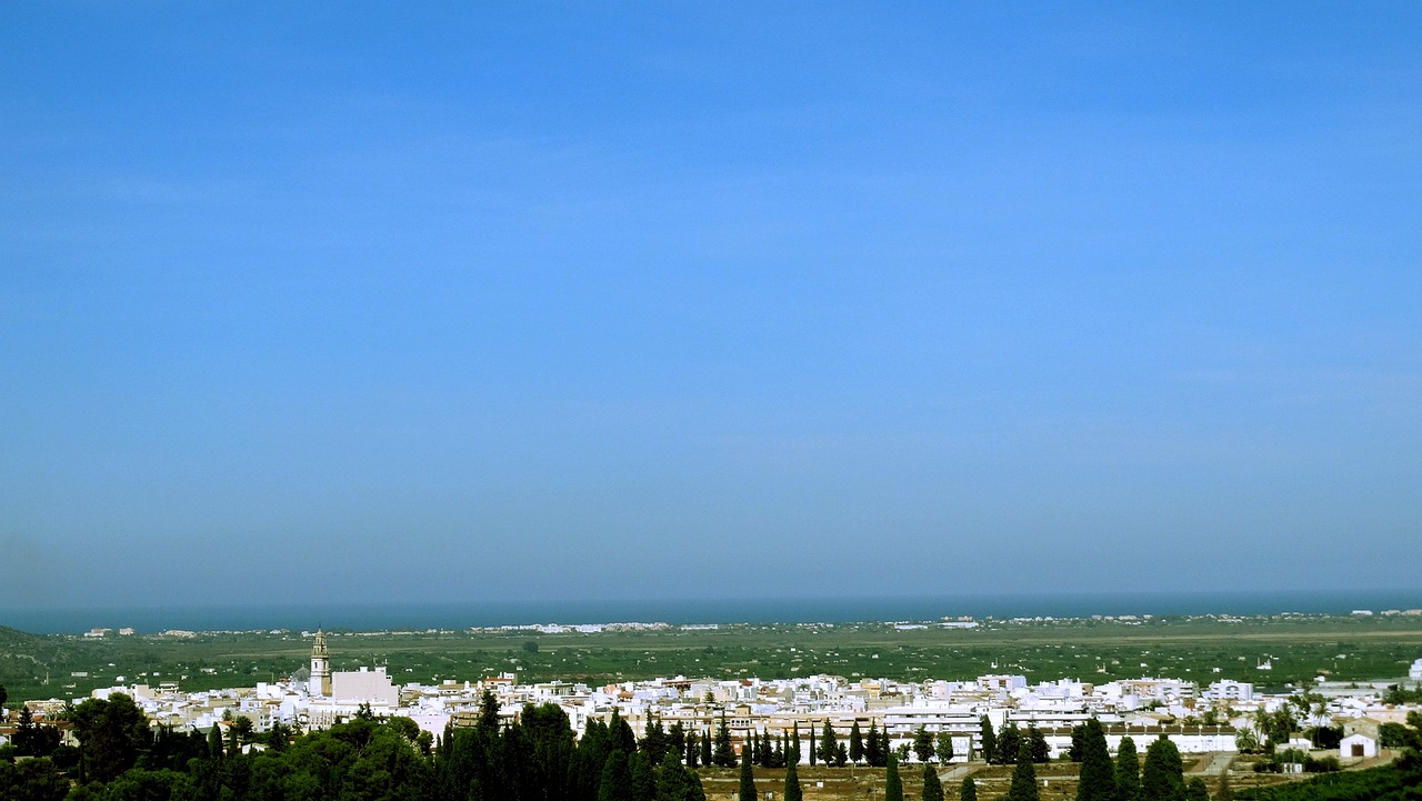 国债逆回购行情分析与展望，最新市场动态及展望前景