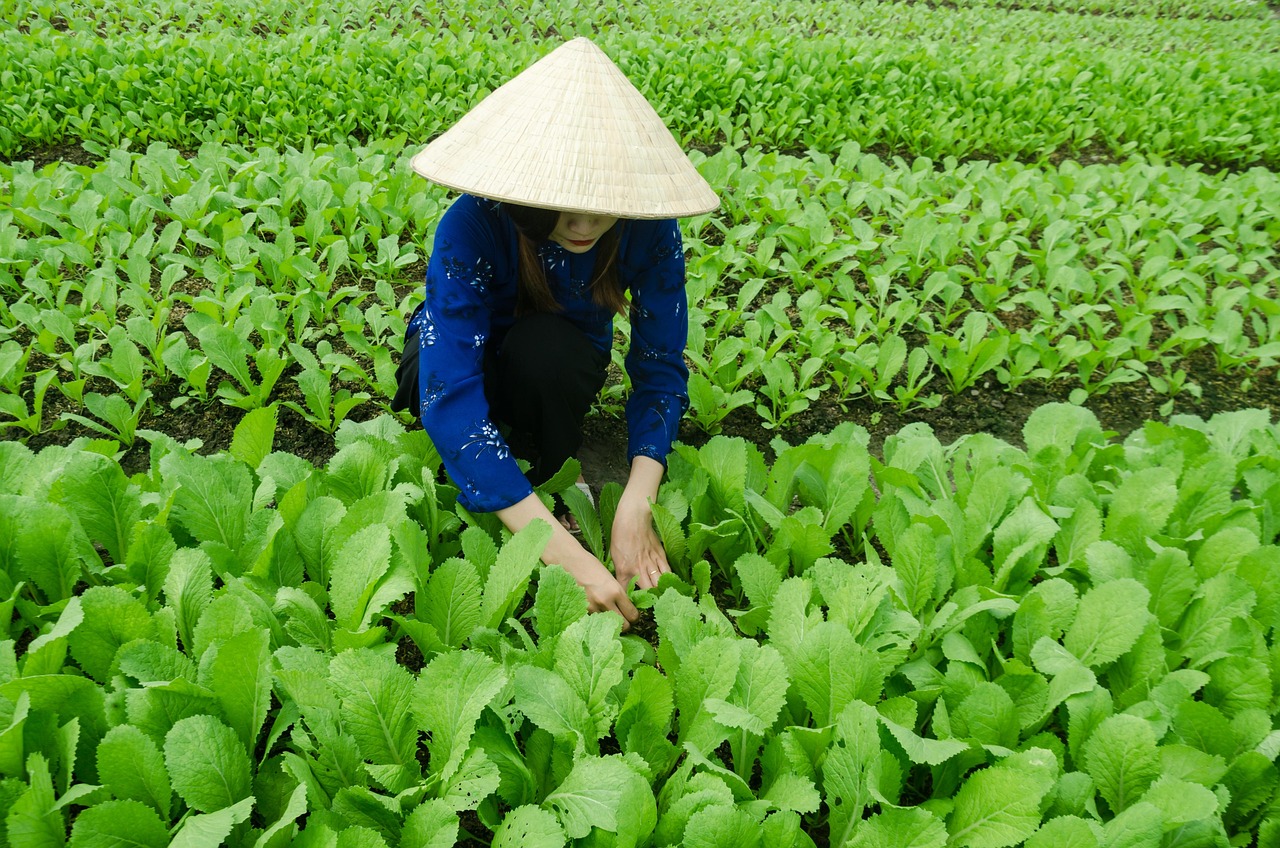 上高命案进展全面解析及最新动态