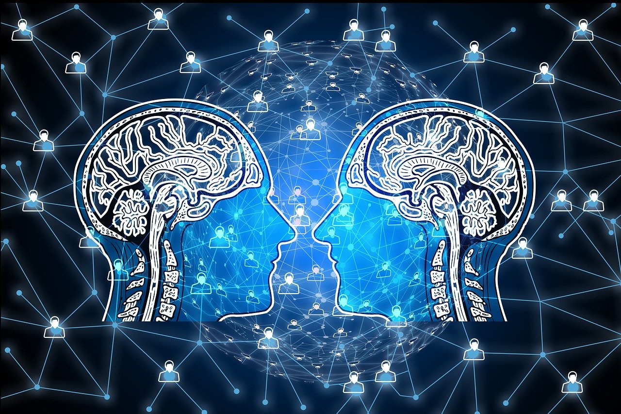 最新PSAI版本引领人工智能图像识别新篇章