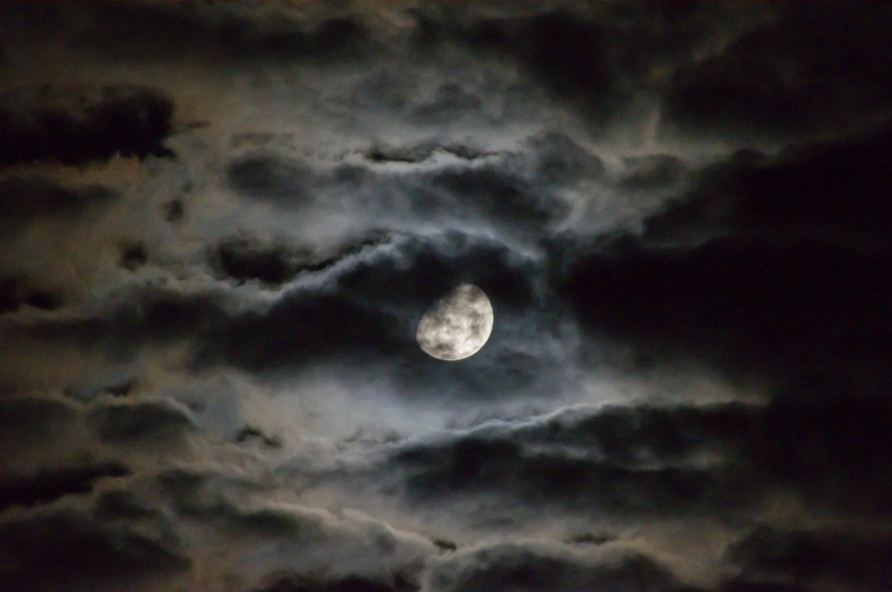长夜萤火新篇章开启，暗夜中的希望之光