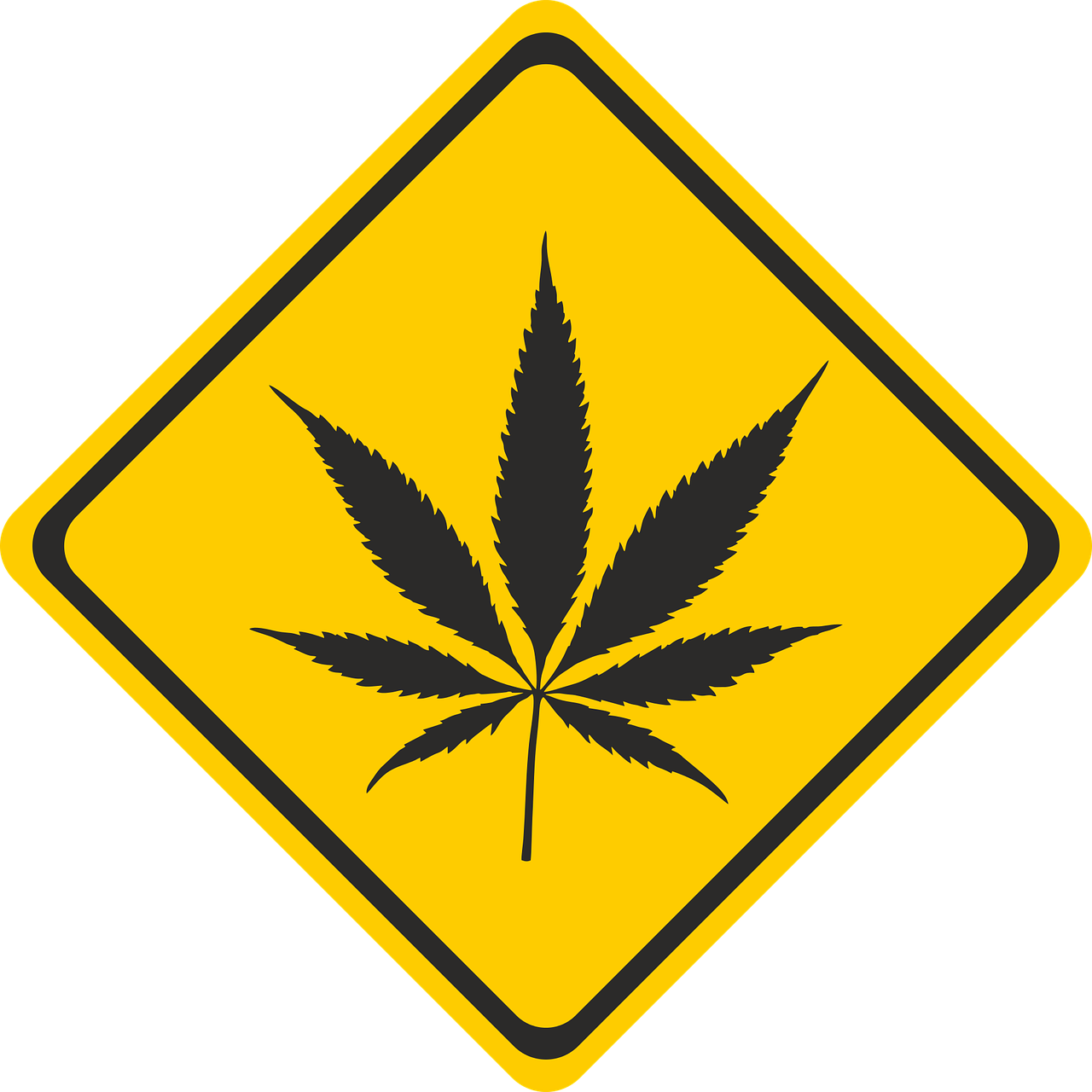 狗脊最新价格动态及市场分析综述